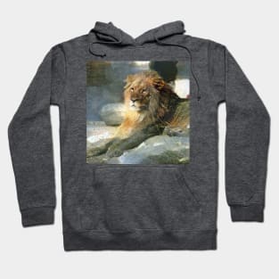 lion painting (leo art, lion king) Hoodie